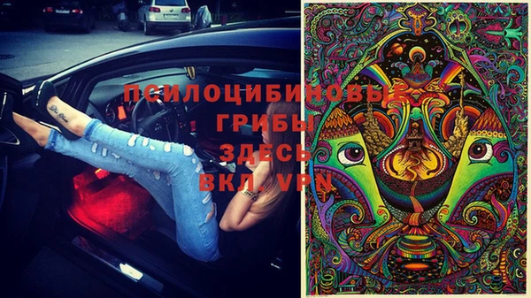 a pvp Абинск