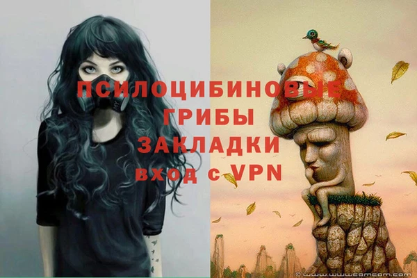 a pvp Абинск