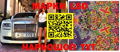 стаф Заволжье